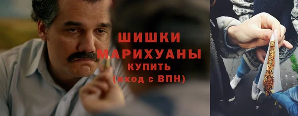 дживик Володарск