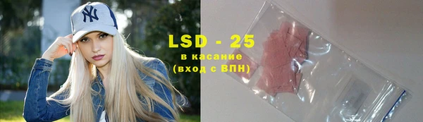 хмурый Верея