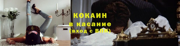 дживик Володарск