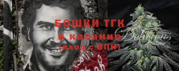 хмурый Верея